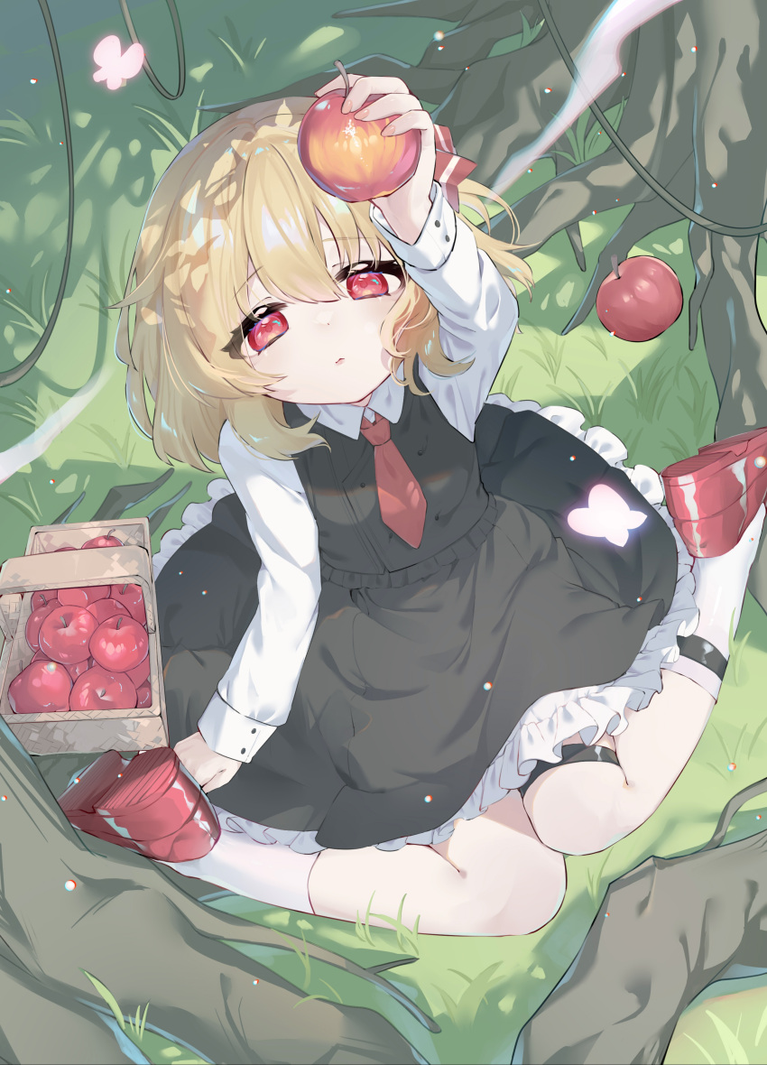 1girl absurdres apple arm_up basket black_skirt black_vest blonde_hair blush bug butterfly chinese_commentary closed_mouth collared_shirt commentary_request food frilled_skirt frills from_above fruit full_body grass hair_between_eyes highres holding holding_food holding_fruit lips long_sleeves looking_at_object looking_up necktie on_ground pink_butterfly plant red_eyes red_footwear red_necktie rumia shirt shoes short_hair sitting skirt sleeve_cuffs socks solo takanashikigori touhou tree vest vines white_shirt white_socks