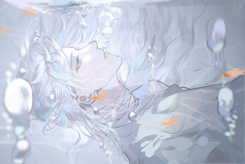 1boy air_bubble bandaged_neck bandages bishounen bubble fish highres i_became_a_god_in_a_horror_game koi long_hair looking_up male_focus profile solo submerged tavel underwater very_long_hair white_hair