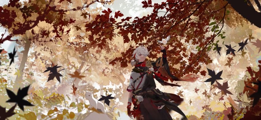 1boy absurdres autumn autumn_leaves bird bird_on_hand black_gloves black_hakama branch cat closed_eyes closed_mouth cowboy_shot day facing_away falling_leaves forest from_below genshin_impact gloves hair_over_one_eye hakama hakama_shorts hand_up highres ice_(805482263) japanese_clothes kaedehara_kazuha kimono leaf long_hair long_sleeves male_focus maple_leaf nature one_eye_covered outdoors partially_fingerless_gloves ponytail scenery shorts sidelocks simple_bird smile solo tree white_cat white_hair white_kimono wide_sleeves