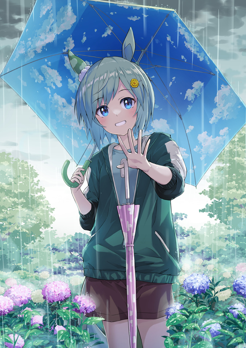 1girl animal_ears blue_eyes blue_hair blush brown_shorts commentary_request cowboy_shot ear_covers flower grin hair_ornament hairclip highres holding holding_umbrella horse_ears horse_girl hydrangea long_sleeves looking_at_viewer mixed-language_commentary murasaki_himuro outdoors partially_unzipped rain seiun_sky_(umamusume) short_hair shorts single_ear_cover sleeves_rolled_up smile solo umamusume umbrella waving