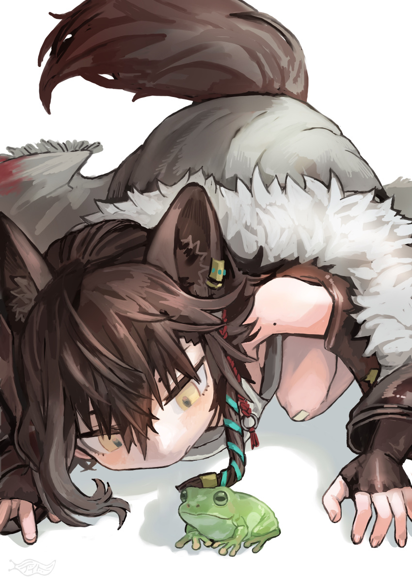 1girl absurdres all_fours animal_ears arknights brown_hair buchi0122 dress frog fur-trimmed_jacket fur_trim highres jacket lunacub_(arknights) mole mole_on_arm simple_background sleeveless sleeveless_dress solo tail white_background white_dress wolf_ears wolf_girl wolf_tail yellow_eyes