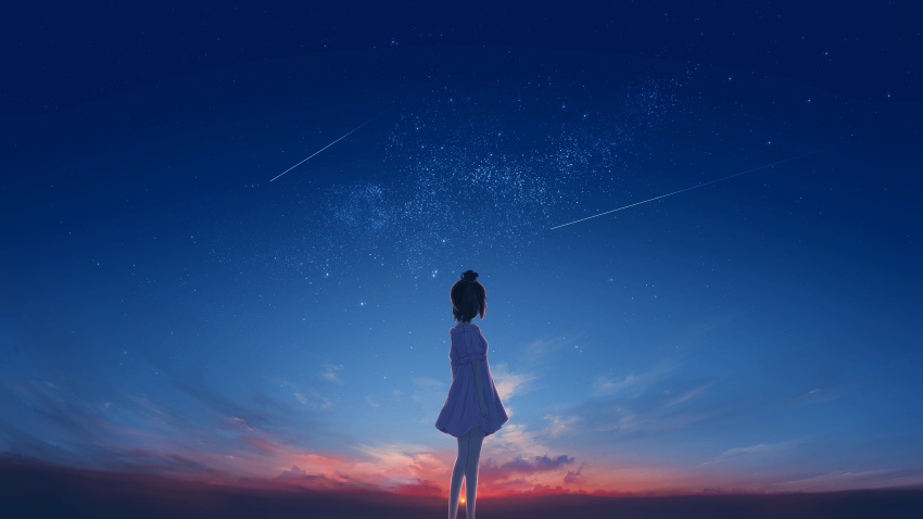 1girl absurdres arms_at_sides black_hair clouds dress facing_away feet_out_of_frame from_side furi0831 hair_bun highres horizon landscape legs_apart night night_sky no_pants off-shoulder_dress off_shoulder original scenery short_hair short_sleeves sidelocks sky solo star_(sky) starry_sky sunset white_dress