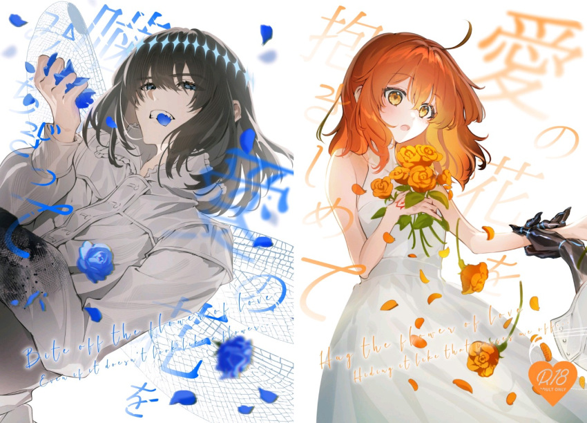 1boy 1girl ahoge alternate_costume arthropod_boy black_hair blue_eyes blue_flower blue_rose clenched_teeth command_spell content_rating cover cover_page dress falling_petals fate/grand_order fate_(series) flower fujimaru_ritsuka_(female) galibo hetero holding holding_another's_wrist holding_flower insect_wings long_sleeves medium_hair novel_cover oberon_(fate) oberon_(third_ascension)_(fate) open_mouth orange_eyes orange_flower orange_hair orange_rose petals rose rose_petals second-party_source shirt sleeveless sleeveless_dress spoilers teeth title white_dress white_shirt wings