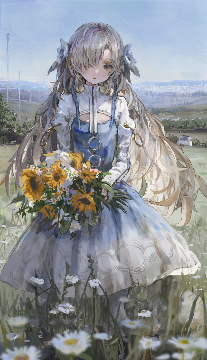 1girl absurdres blue_dress blue_flower blue_hair blue_sky bouquet daisy dress expressionless field flower grey_eyes grey_hair hair_flower hair_ornament hair_over_one_eye highres holding holding_bouquet isekai_joucho kamitsubaki_studio long_hair long_sleeves looking_at_viewer multicolored_hair outdoors parted_lips shion_(mirudakemann) sky solo two-tone_dress two-tone_hair virtual_youtuber white_dress