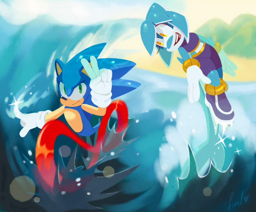 background cetacean dolphin fiinel fiinelrush gold_eyes hedhehog red_eyes sonic_(series) sonic_legacy sonic_the_hedgehog tempest_the_dolphin water