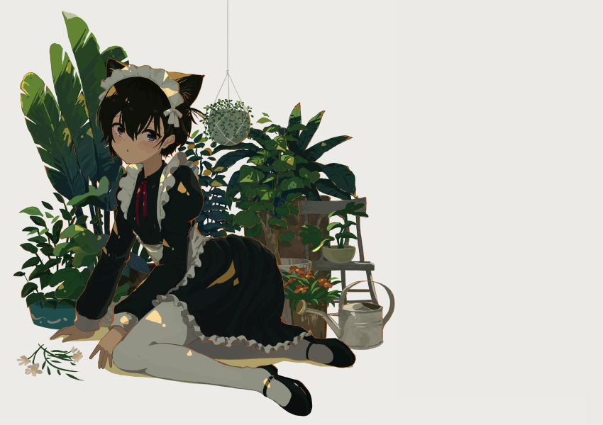 1girl absurdres animal_ear_fluff animal_ears apron black_footwear black_hair blush cat_ears cat_girl chair collared_dress commentary_request dress flower frilled_dress frills full_body grey_eyes hair_between_eyes hanging_plant highres kgt_(pixiv12957613) long_sleeves looking_at_viewer maid maid_apron maid_headdress mary_janes neck_ribbon one_side_up original pantyhose parted_lips plant potted_plant puffy_long_sleeves puffy_sleeves red_ribbon ribbon shoes short_hair signature simple_background solo watering_can white_background white_flower white_pantyhose