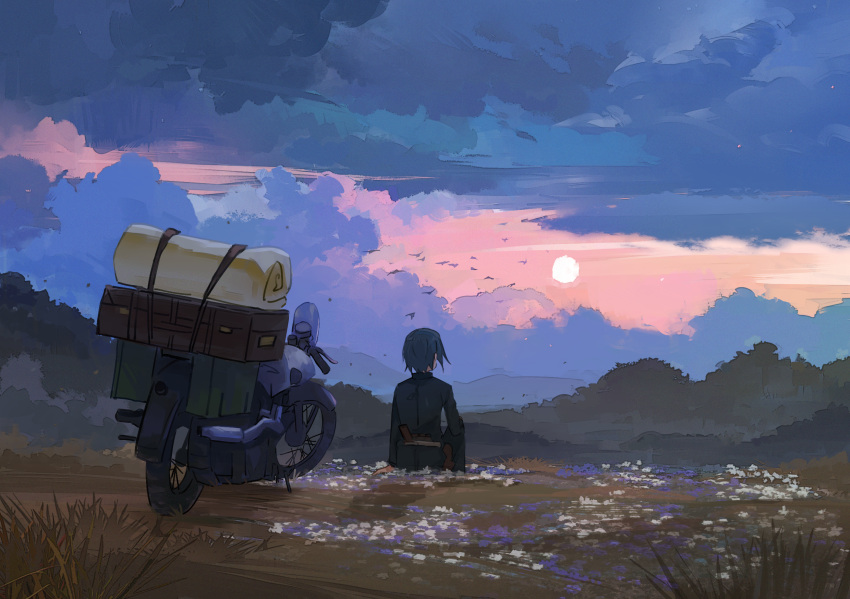 1girl androgynous axleaki bird black_jacket clouds cloudy_sky commentary field from_behind grass green_hair hermes_(kino_no_tabi) highres jacket kino_(kino_no_tabi) kino_no_tabi landscape motor_vehicle motorcycle outdoors scenery short_hair sitting sky sunset