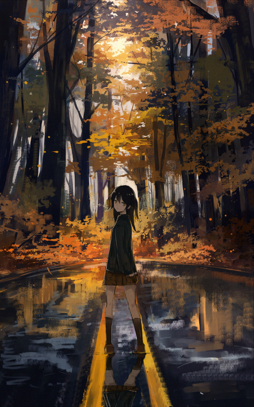 1girl absurdres autumn autumn_leaves axleaki black_hair black_socks black_sweater brown_footwear brown_skirt closed_mouth commentary_request forest from_behind hair_between_eyes highres long_hair long_sleeves looking_at_viewer looking_back nature original outdoors puffy_sleeves reflection road scenery skirt socks solo standing sweater tree wet_ground wide_shot yellow_eyes