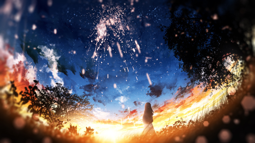 1girl absurdres blue_sky blurry blurry_foreground brown_hair clouds commentary_request field fireworks forest from_behind furi0831 grass highres long_hair nature original scenery silhouette sky solo standing star_(sky) starry_sky sunset tree twilight