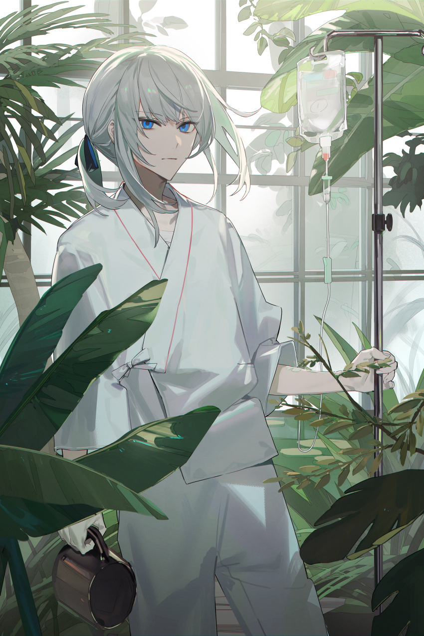 1boy absurdres androgynous bandaged_chest blue_eyes closed_mouth cowboy_shot cup expressionless greenhouse grey_hair hair_between_eyes hair_ribbon highres holding holding_cup hospital_gown indoors intravenous_drip iv_stand looking_at_viewer male_focus medium_hair original pants plant ribbon shirt short_ponytail shuukenyuu solo standing tree white_pants white_shirt window
