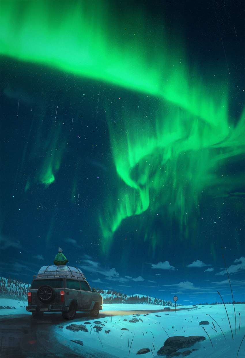 1other aurora beanie car commentary cyclecircle english_commentary field forest from_behind hat highres indian_style motor_vehicle nature night night_sky original outdoors road road_sign scenery shooting_star sign sitting sky sky_focus snow solo star_(sky) starry_sky tree winter winter_clothes