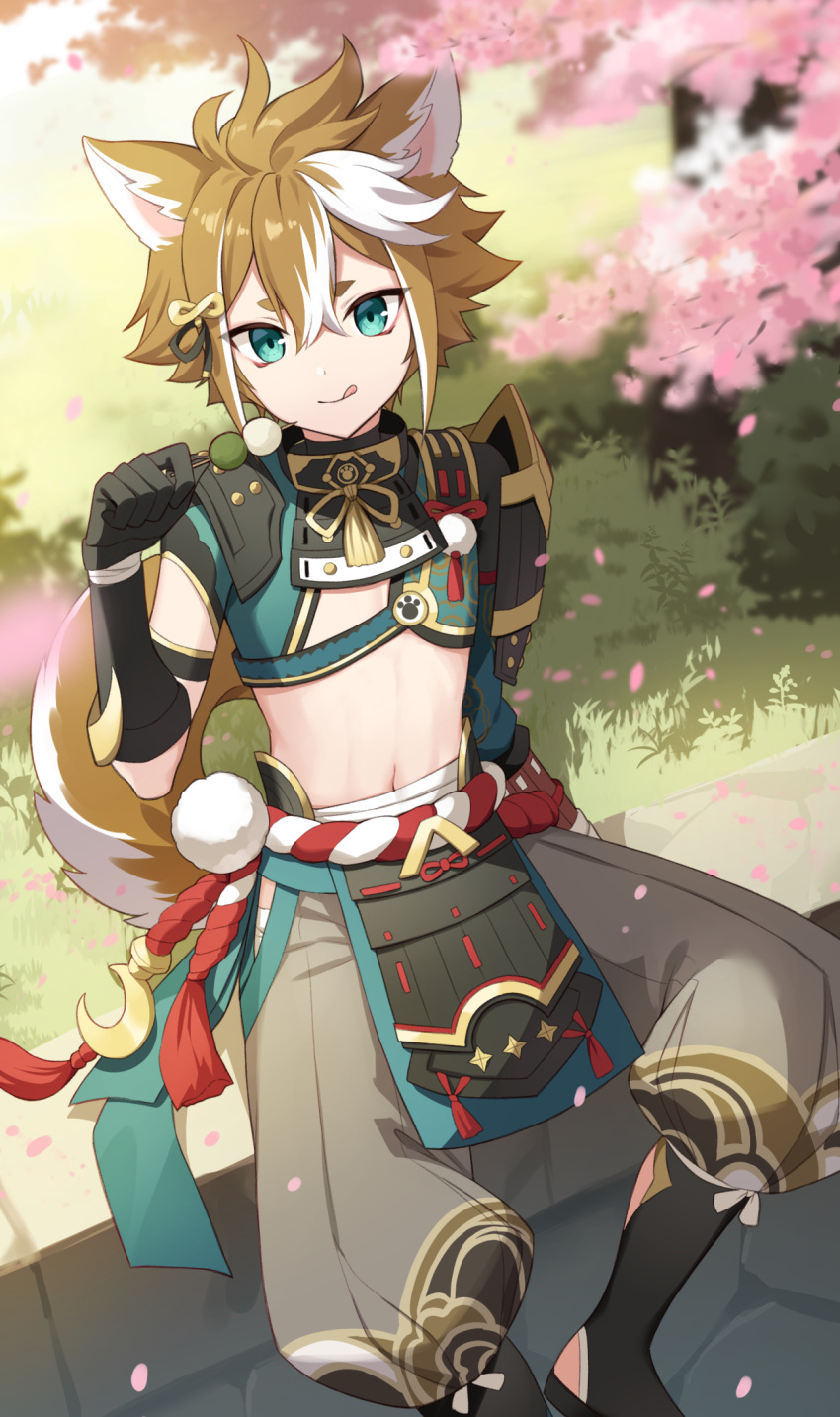 1boy animal_ears aqua_eyes armor asymmetrical_sleeves bandages black_collar black_gloves branch brown_hair cherry_blossoms closed_mouth collar commentary_request crop_top crossed_bangs dango day dog_boy dog_ears dog_tail elbow_gloves falling_petals food genshin_impact gloves gorou_(genshin_impact) grass grey_pants hair_between_eyes hair_ornament hand_up highres holding holding_food igote iroiro_0w0 japanese_armor japanese_clothes kouhaku_nawa licking_lips long_sleeves looking_at_viewer male_focus midriff multicolored_hair navel on_wall outdoors pants paw_print petals pom_pom_(clothes) rope sanshoku_dango sarashi shimenawa short_eyebrows short_hair short_sleeves shoulder_armor sidelocks sitting sitting_on_wall smile sode solo stomach stone_wall streaked_hair tail tassel thick_eyebrows tongue tongue_out tree wagashi wall white_hair