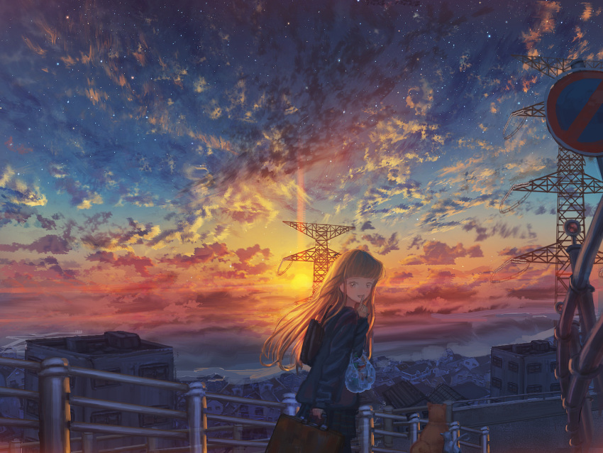 1girl bag blonde_hair building city clouds cloudy_sky commentary_request dog fence highres kenzo_093 long_hair long_sleeves looking_at_viewer original outdoors road road_sign scenery shopping_bag sign skirt sky solo star_(sky) starry_sky street sunset transmission_tower yellow_eyes