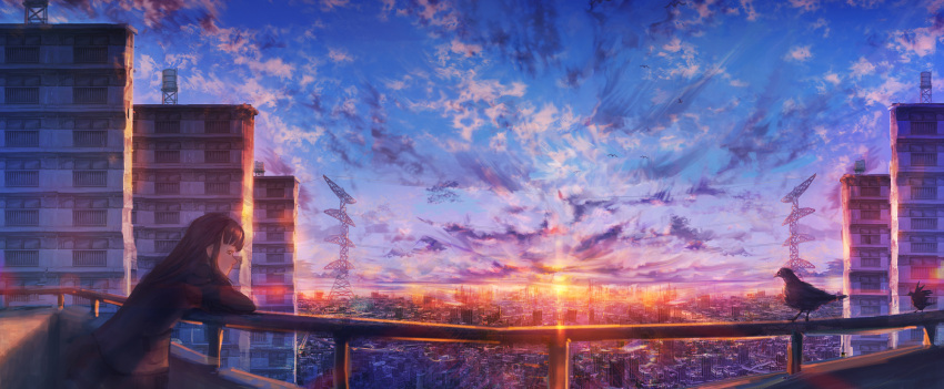 1girl bird black_hair blunt_bangs building city cityscape clouds commentary_request crow day dusk highres kenzo_093 leaning leaning_forward original outdoors power_lines railing scenery sidelocks sky solo sunset transmission_tower