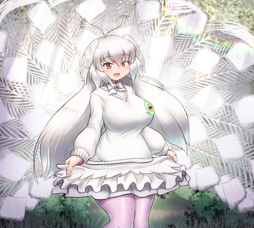 1girl bird_girl bird_tail bow breasts brown_eyes grass happy highres kemono_friends large_breasts large_tail long_hair long_sleeves mo23 outdoors pantyhose pink_pantyhose skirt smile solo sweater tail tail_feathers white_hair white_peafowl_(kemono_friends) white_skirt white_sweater white_tail