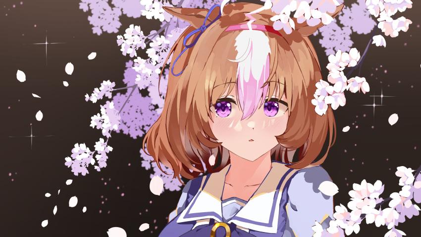 1girl absurdres ahoge animal_ears bow bowtie branch brown_background brown_hair cherry_blossoms diffraction_spikes hair_between_eyes hairband highres horse_ears light_blush looking_at_viewer luft9999 medium_hair meisho_doto_(umamusume) multicolored_hair parted_lips petals purple_shirt sailor_collar shirt solo two-tone_hair umamusume upper_body violet_eyes