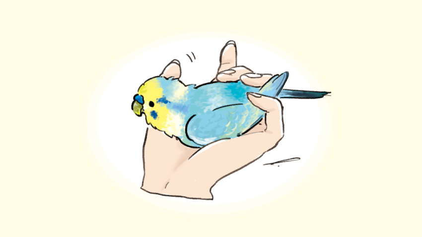 animal animal_focus bird bird_on_hand budgerigar_(bird) check_commentary commentary_request disembodied_limb holding holding_animal holding_bird original parakeet signature simple_background terao_(omelettera) yellow_background