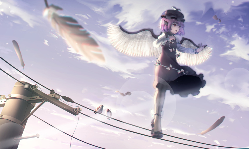 1girl absurdres animal animal_ears bird bird_ears bird_wings black_footwear black_thighhighs brown_dress brown_headwear day dress feathered_wings feathers frilled_dress frilled_sleeves frills full_body hat highres long_sleeves meo_(user_rhdv8385) mystia_lorelei open_mouth outdoors pink_hair power_lines red_eyes shoes short_hair sleeve_garter solo sparrow standing thigh-highs touhou utility_pole white_wings winged_hat wings