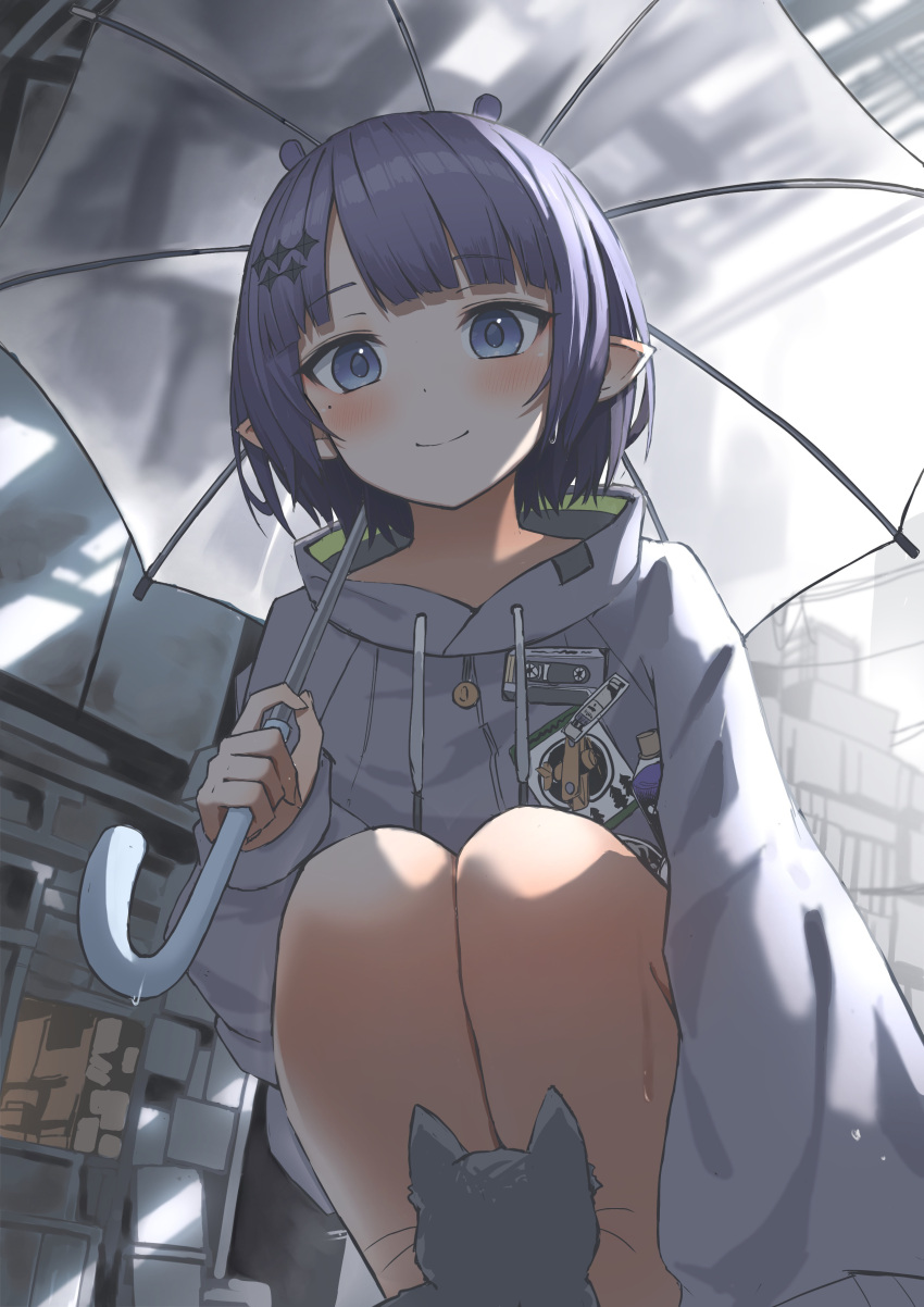 1girl absurdres blue_eyes blue_hair blunt_bangs blush bob_cut cat closed_mouth commentary_request dot_nose drawstring highres holding holding_umbrella hololive hololive_english hood hood_down hoodie long_sleeves looking_at_viewer mole mole_under_eye ninomae_ina'nis ninomae_ina'nis_(5th_costume) pepushi_drow pointy_ears puffy_long_sleeves puffy_sleeves short_hair solo squatting transparent transparent_umbrella umbrella virtual_youtuber