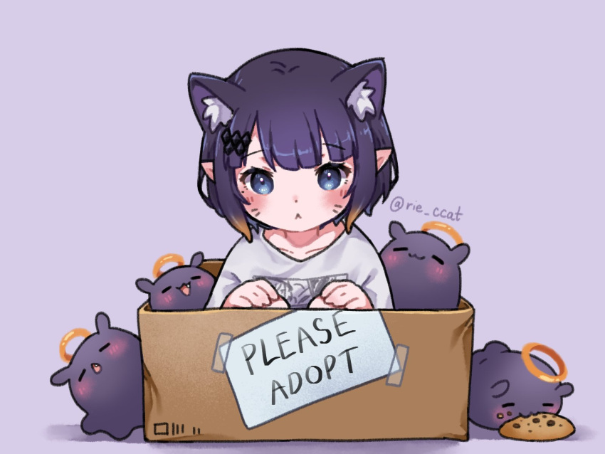 1girl animal_ear_fluff animal_ears blue_eyes blush box cardboard_box cat_ears cat_girl chocolate_chip_cookie collarbone cookie eating facial_mark fang food for_adoption gradient_hair hair_ornament halo highres hololive hololive_english multicolored_hair ninomae_ina'nis ninomae_ina'nis_(5th_costume) orange_hair pointy_ears purple_background purple_hair rie_ccat shirt short_hair takodachi_(ninomae_ina'nis) tentacle_hair twitter_username whisker_markings white_shirt
