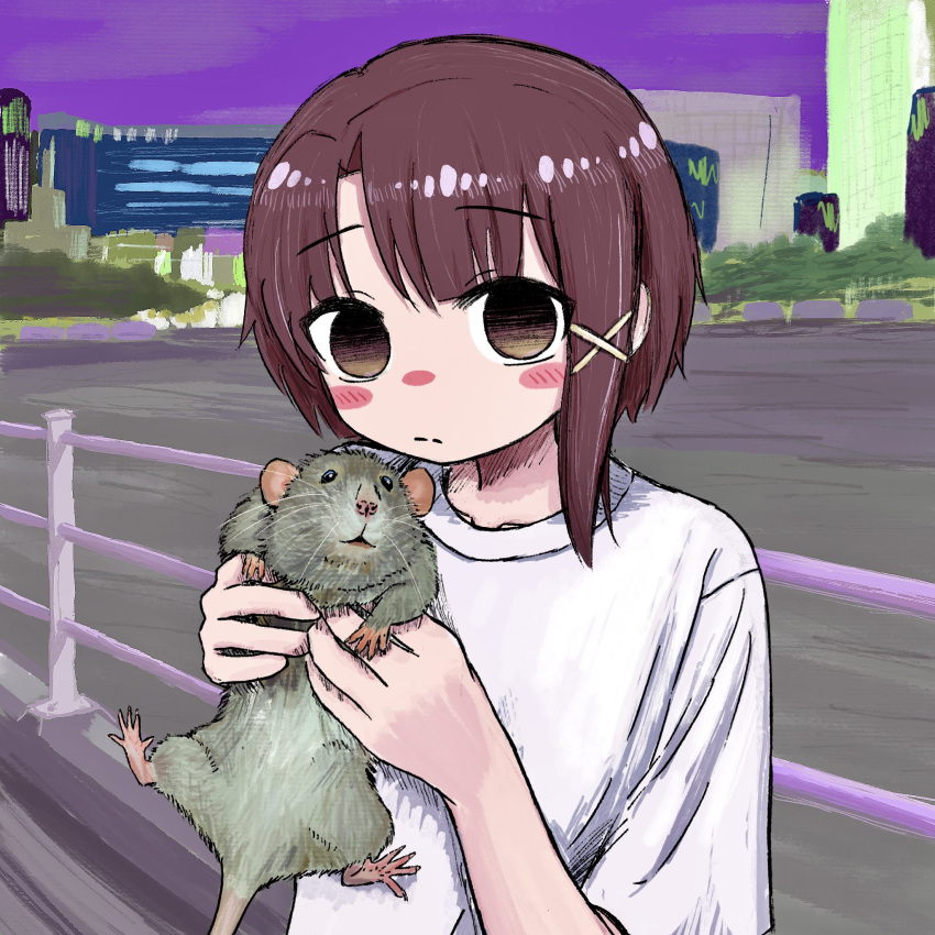 1girl animal blush_stickers brown_eyes brown_hair bubbacterial closed_mouth highres holding holding_animal iwakura_lain looking_at_viewer mouse outdoors railing serial_experiments_lain shirt short_hair short_sleeves solo upper_body white_shirt