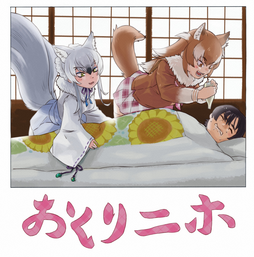 1boy 2girls animal_ears bent_over black_hair bottle brown_eyes brown_hair captain_(kemono_friends) closed_eyes fang fur_collar highres holding holding_bottle indoors japanese_clothes japanese_wolf_(kemono_friends) kemono_friends kemono_friends_3 kimono kneeling leaning_forward long_hair long_sleeves looking_at_another lying makami_(kemono_friends) miniskirt multicolored_hair multiple_girls multiple_tails nervous_sweating on_back open_mouth parted_lips plaid plaid_skirt short_hair short_hair_with_long_locks skirt smile struggling sweat tail thigh-highs toriny translation_request white_hair wide_sleeves wolf_ears wolf_girl wolf_tail yellow_eyes zettai_ryouiki
