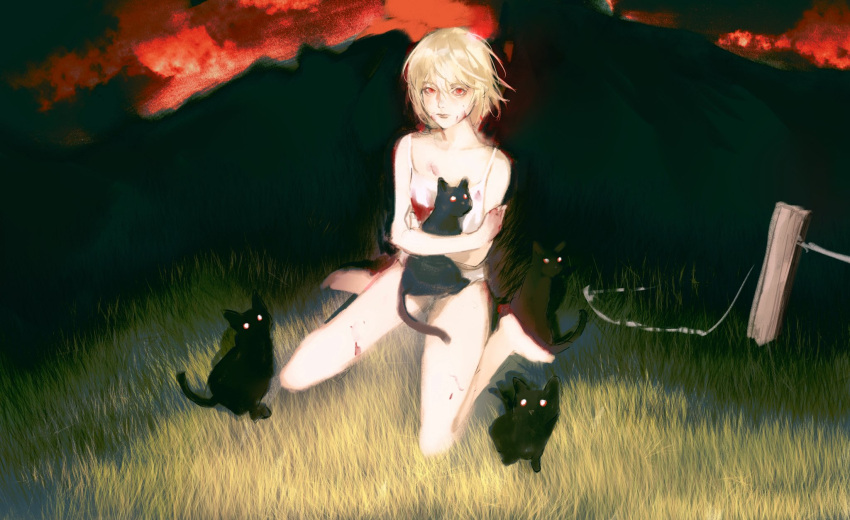 02_ihate99 1other androgynous animal bare_shoulders black_cat blonde_hair blood blood_on_clothes blood_on_face cat cropped_shirt full_body highres holding holding_animal holding_cat hunter_x_hunter kurapika looking_at_viewer red_eyes shirt short_hair sitting solo wariza white_shirt