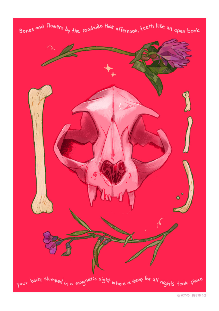 animal_skull artist_name bone commentary english_commentary english_text flower gatoiberico highres no_humans original purple_flower red_background simple_background skull