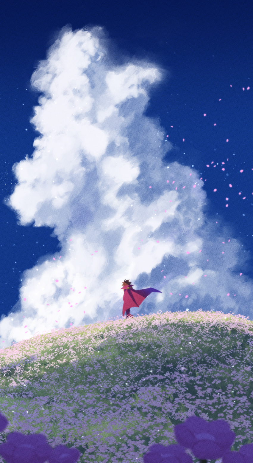 1boy absurdres blue_sky brown_hair cape clouds cloudy_sky day field flower flower_field from_behind grass highres hill honegai21 klug_(puyopuyo) male_focus messy_hair outdoors pants petals purple_cape purple_flower purple_pants puyopuyo short_hair sky solo standing strange_klug wide_shot