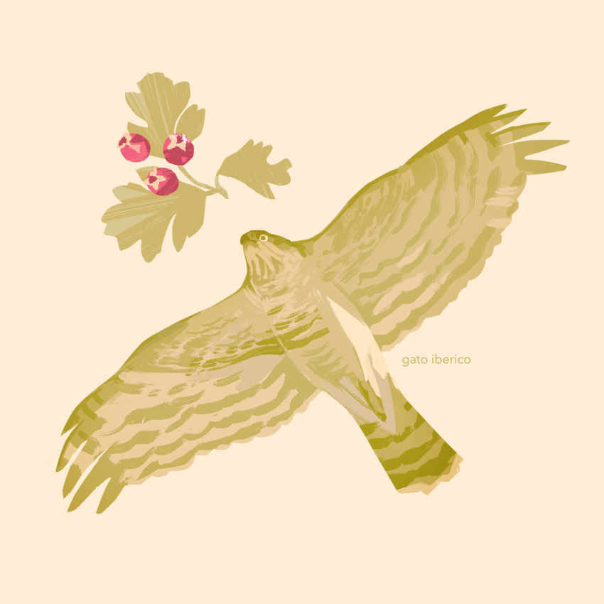 animal animal_focus artist_name berry bird commentary english_commentary flying gatoiberico hawk hawthorn_(plant) highres leaf no_humans original simple_background sparrowhawk
