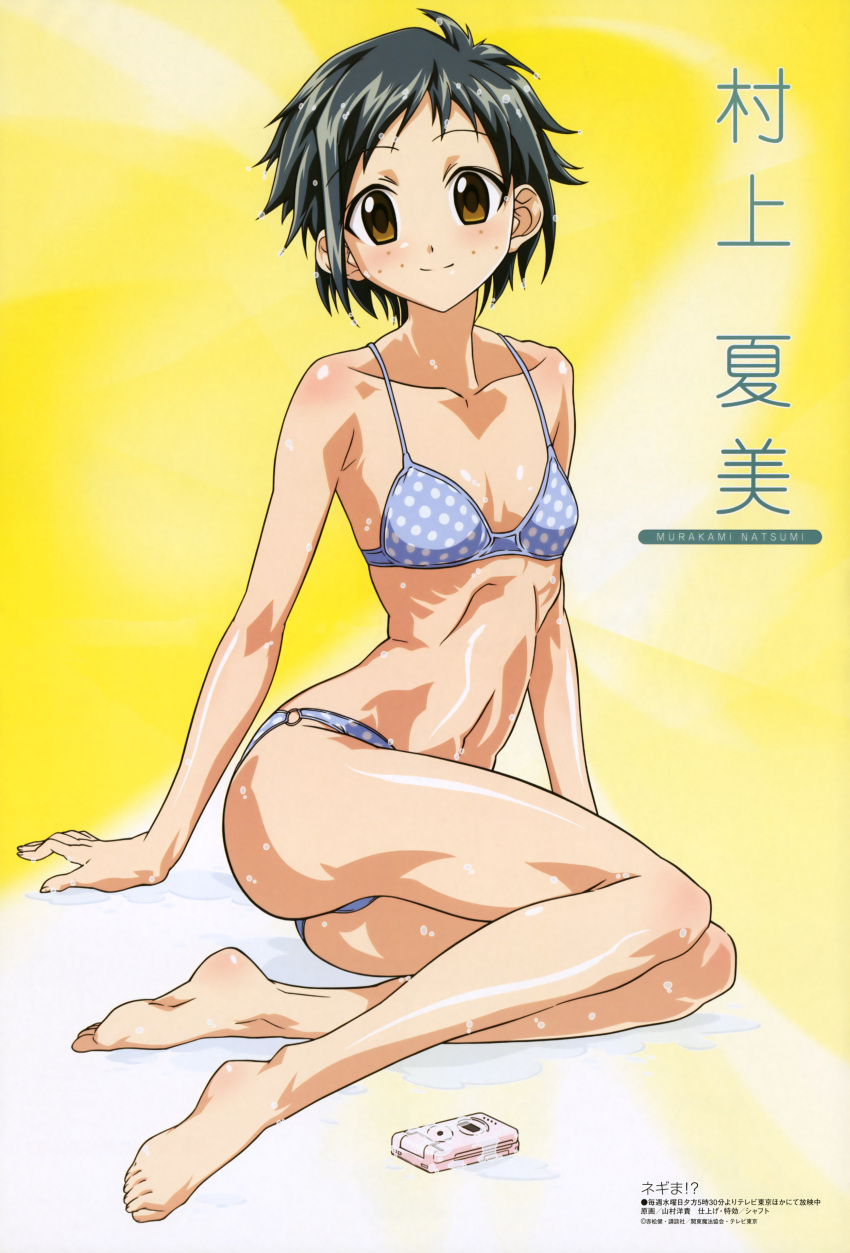 bikini mahou_sensei_negima murakami_natsumi swimsuit yamamura_hiroki