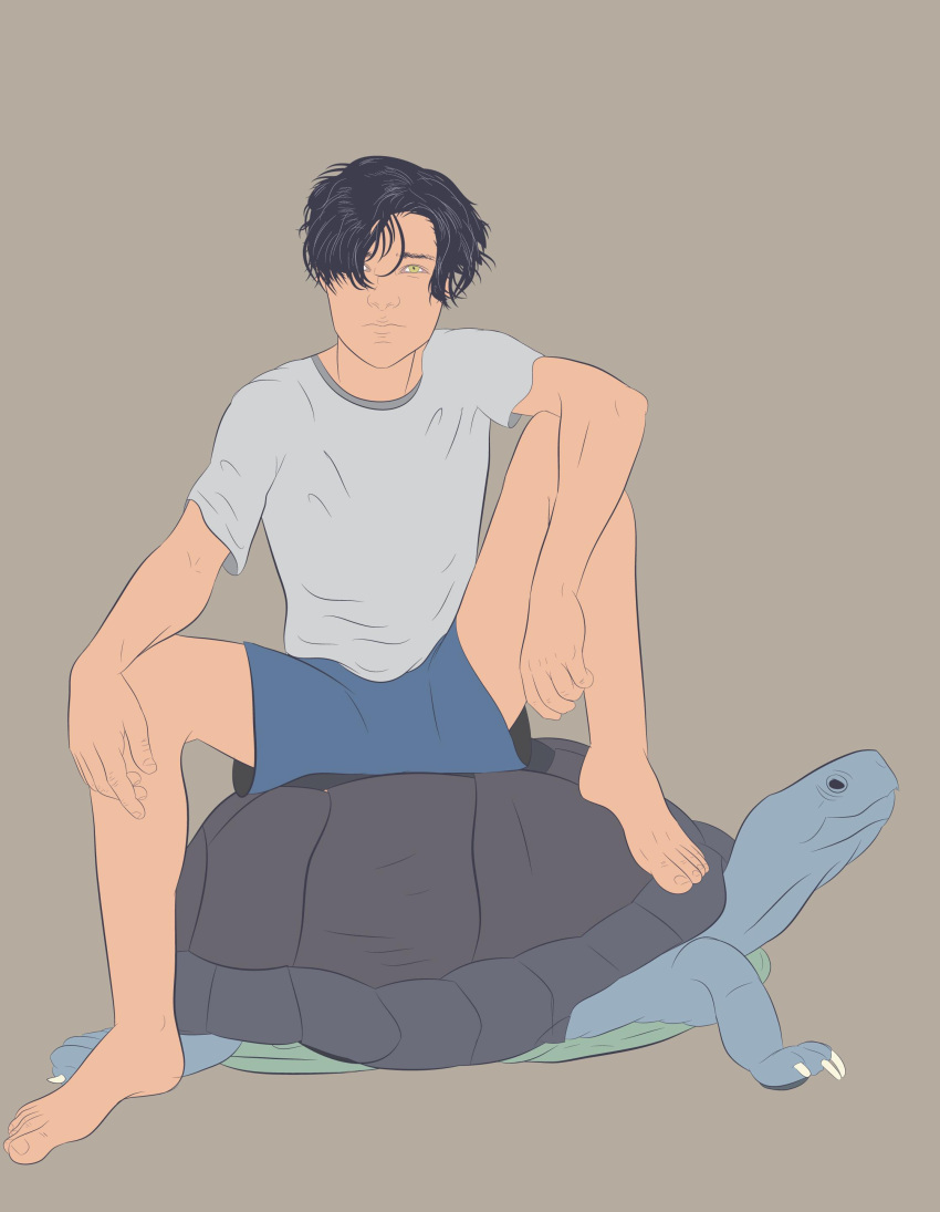 1boy absurdres animal barefoot green_eyes highres male_focus no_shoes non-web_source shorts simple_background sitting turtle
