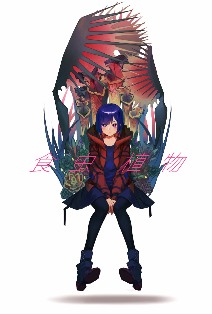 1girl absurdres arms_between_legs black_pantyhose blue_dress blue_hair boots colored_inner_hair commentary_request diamond_earrings dorsiflexion dress earrings featherzer0 full_body highres hood hood_down hooded_jacket invisible_chair jacket jewelry kamitsubaki_studio long_sleeves looking_at_viewer multicolored_eyes multicolored_hair open_clothes open_jacket open_mouth pantyhose pigeon-toed pitcher_plant plant plant_request red_eyes red_jacket redhead rim_(kamitsubaki_studio) short_dress short_hair simple_background sitting solo song_name straight-on translation_request venus_flytrap violet_eyes virtual_youtuber white_background yellow_pupils