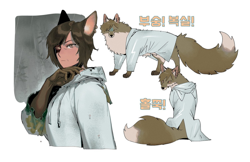1girl animal_ear_fluff animal_ears animal_hands animal_hood animalization artist_name brown_eyes brown_hair brown_sclera closed_eyes closed_mouth colored_sclera commentary cropped_torso dark-skinned_female dark_skin drawstring e.g.o_(project_moon) ear_piercing expressionless fox fox_ears fox_tail hood hood_down korean_text limbus_company long_sleeves looking_at_viewer mismatched_pupils mismatched_sclera multiple_views outis_(limbus_company) piercing project_moon rain raincoat short_hair simple_background sitting slit_pupils symbol-only_commentary tail tollmlycat torn_clothes torn_sleeves twitter_username upper_body water_drop wet wet_clothes wet_hair white_background white_raincoat wrinkled_skin yellow_pupils