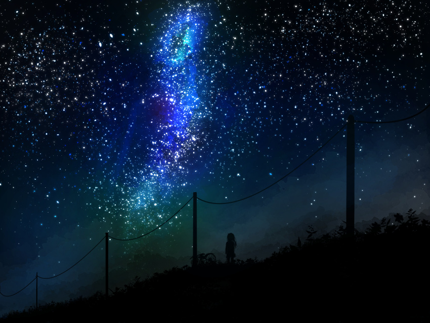1girl bicycle commentary_request from_behind galaxy highres long_hair meeu0biss night night_sky original outdoors plant power_lines scenery silhouette sky solo standing star_(sky) starry_sky utility_pole variant_set