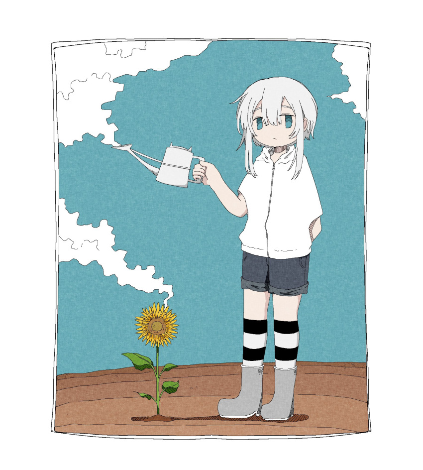 1girl aqua_eyes ashi_izumo black_socks blue_shorts blue_sky boots closed_mouth clouds commentary day denim denim_shorts double-parted_bangs expressionless field flower full_body grey_footwear highres holding holding_watering_can hood hood_down hoodie izumo-chan_(ashi_izumo) kneehighs looking_at_viewer original outdoors short_hair short_sleeves shorts sidelocks sky socks solo standing steam striped striped_socks sunflower two-tone_socks watering_can white_hair white_hoodie white_socks yellow_flower zipper