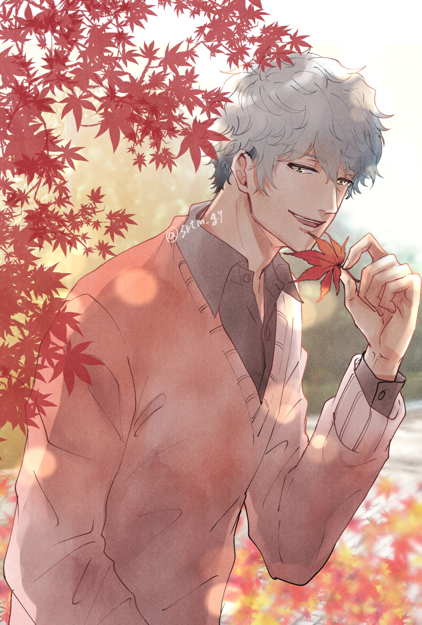 1boy absurdres autumn_leaves black_shirt blurry blurry_background brown_sweater day gradient_hair grey_hair highres ichinose_ginga la_corda_d'oro_starlight_orchestra male_focus multicolored_hair open_mouth outdoors shiratama_(srtm_gy) shirt smile solo sweater upper_body yellow_eyes