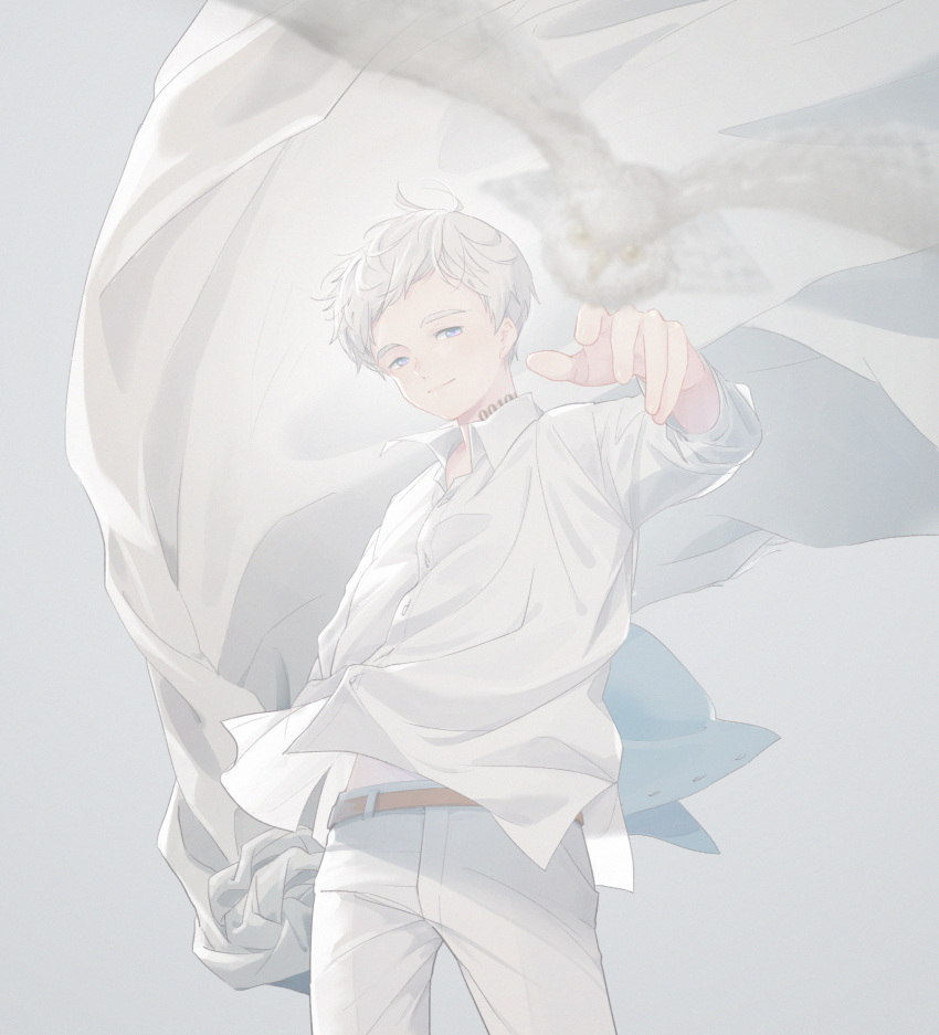 1boy awarin belt bird blue_eyes closed_mouth highres long_sleeves looking_at_viewer male_focus neck_tattoo norman_(yakusoku_no_neverland) number_tattoo owl pants shirt short_hair solo tattoo white_background white_hair white_pants white_shirt white_theme yakusoku_no_neverland