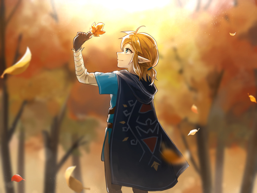 1boy arm_up autumn_leaves black_cape blonde_hair blue_tunic blurry blurry_background brown_gloves cape closed_mouth commentary falling_leaves fingerless_gloves forest gloves highres holding holding_leaf leaf link male_focus maple_leaf maya_(mayamayammy) medium_hair nature outdoors pointy_ears profile short_ponytail smile the_legend_of_zelda the_legend_of_zelda:_breath_of_the_wild tree