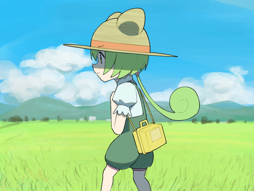 1girl animal_ear_headwear bag blue_sky closed_mouth clouds feet_out_of_frame field from_side green_hair green_shorts hat highres long_hair looking_ahead low_ponytail mountainous_horizon okepi outdoors profile puffy_short_sleeves puffy_shorts puffy_sleeves shirt short_sleeves shorts shoulder_bag sky smile solo standing straw_hat suspender_shorts suspenders v-shaped_eyebrows voicevox white_shirt yellow_eyes zundamon
