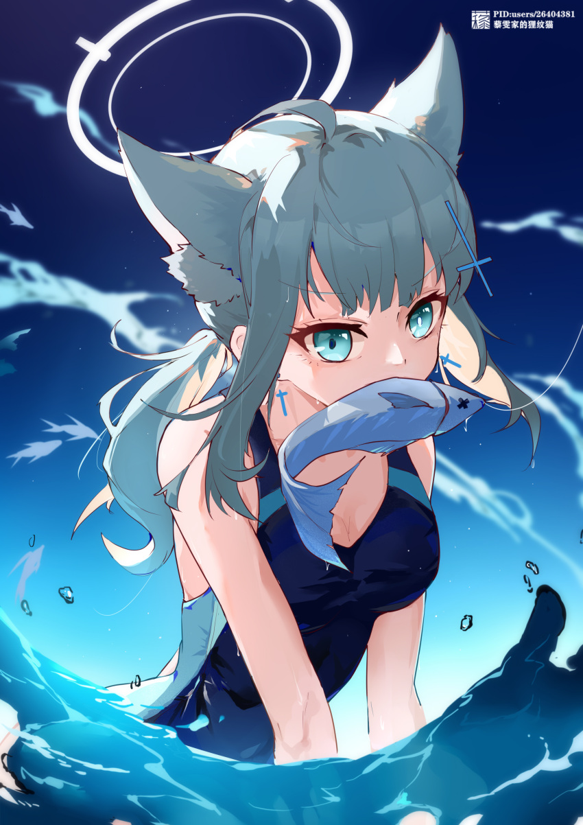 1girl absurdres animal_ear_fluff animal_ears blue_archive blue_eyes blue_sky commentary_request competition_school_swimsuit cross cross_earrings cross_hair_ornament earrings extra_ears fish grey_hair hair_between_eyes hair_ornament halo head_tilt highres horizon jewelry liwendala looking_at_viewer low_ponytail medium_hair mismatched_pupils mouth_hold ocean official_alternate_costume official_alternate_hairstyle school_swimsuit shiroko_(blue_archive) shiroko_(swimsuit)_(blue_archive) sidelocks sky sleeveless solo swimsuit v_arms wolf_ears wolf_girl