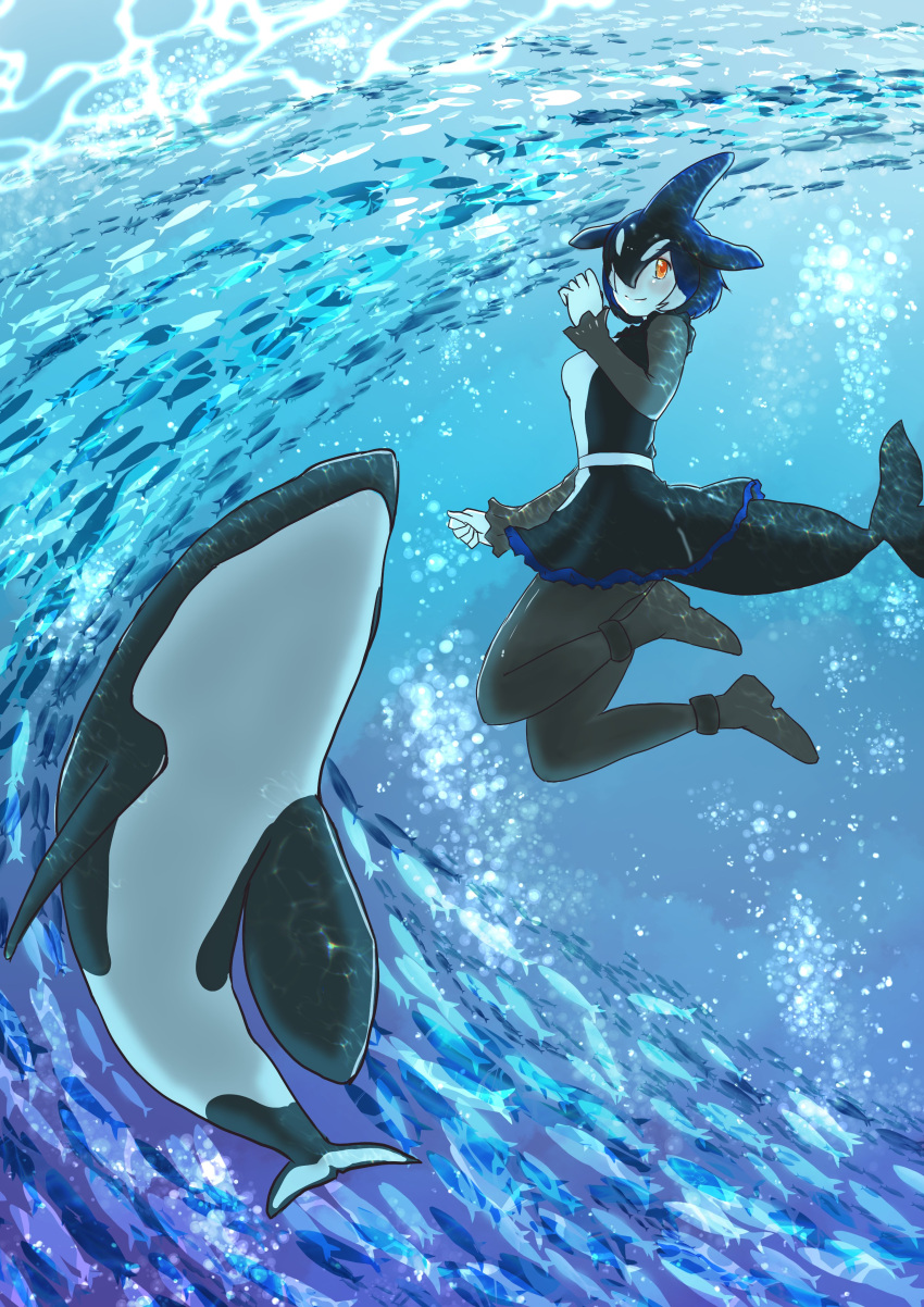 1girl absurdres air_bubble animal arm_at_side black_hair bodystocking bubble cetacean_tail colored_inner_hair creature_and_personification dolphin_girl dorsal_fin dress ena_jura fins fish fish_tail freediving full_body hand_up head_fins highres kemono_friends long_bangs long_sleeves looking_at_viewer medium_dress medium_hair multicolored_hair ocean orange_eyes orca orca_(kemono_friends) orca_girl smile tail underwater water white_hair