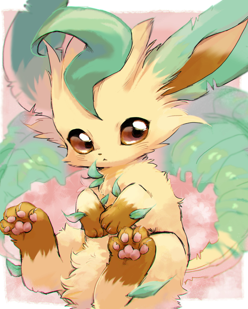 animal_focus blurry brown_eyes commentary_request depth_of_field highres leafeon looking_at_viewer nekogusa no_humans pink_background pokemon pokemon_(creature) solo yellow_fur