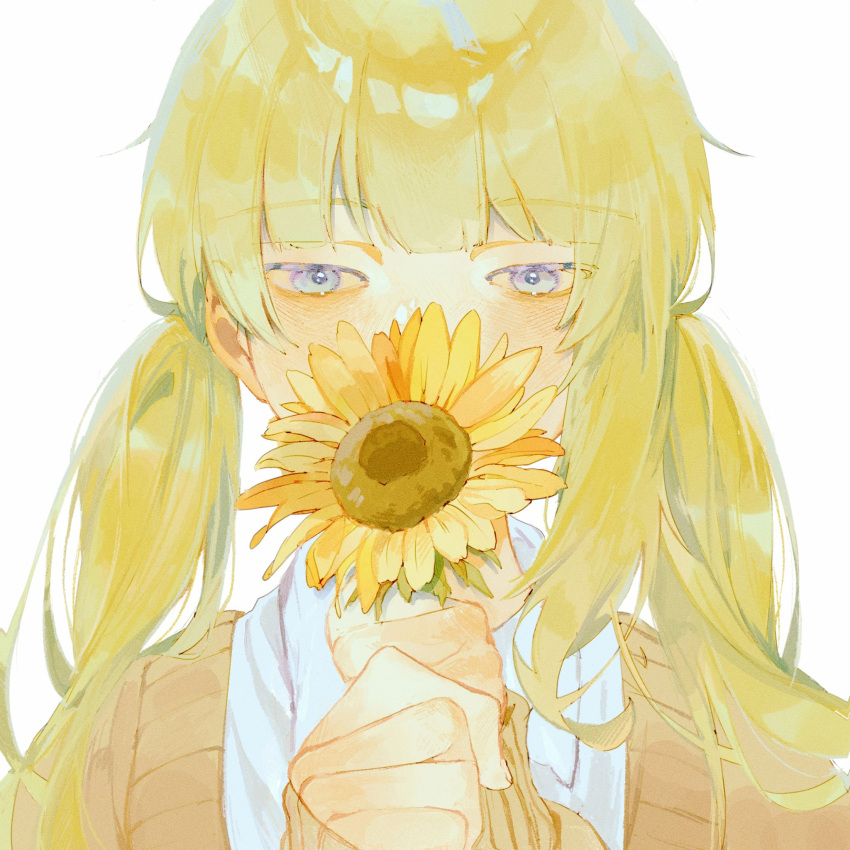 1girl blonde_hair blue_eyes blush brown_sweater collared_shirt commentary covered_mouth flower flower_over_mouth gr_7 hair_over_shoulder hands_up highres holding holding_flower long_hair long_sleeves looking_ahead original own_hands_together portrait school_uniform shirt simple_background solo straight-on sunflower sweater symbol-only_commentary twintails white_background white_shirt yellow_theme