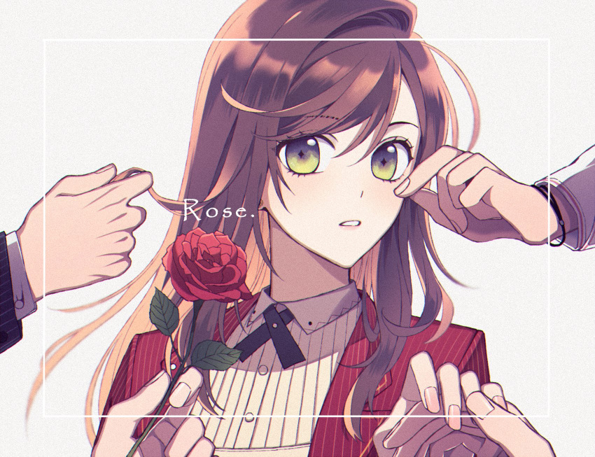1girl brown_hair character_name character_request collared_shirt commentary_request dress_shirt flower grey_background hair_between_eyes highres holding holding_flower jacket long_hair looking_at_viewer nemuiiii3_3 open_clothes open_jacket out_of_frame parted_lips red_flower red_jacket red_rose rosa_(tears_of_themis) rose shirt simple_background solo_focus striped striped_jacket tears_of_themis upper_body vertical-striped_jacket vertical_stripes white_shirt yellow_eyes