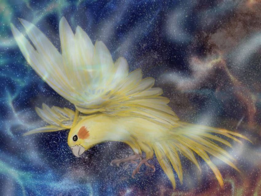 animal_focus beak bird black_eyes cockatiel feathers fire flying from_side full_body highres no_humans original parrot shiropooo sky space spread_wings star_(sky) starry_sky talons wings yellow_feathers yellow_wings