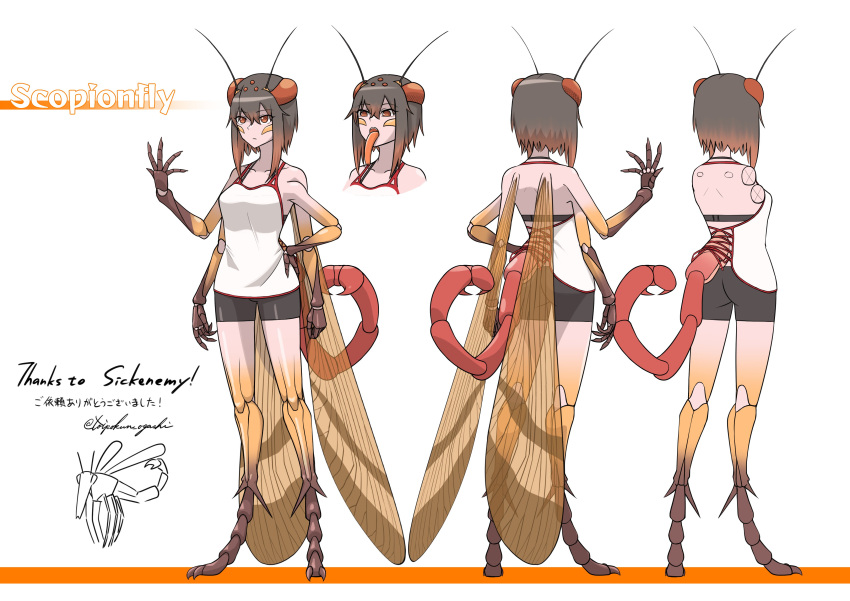 1girl absurdres animal_feet antennae arthropod_girl arthropod_limbs artist_name brown_eyes brown_hair carapace claws closed_mouth colored_skin colored_tongue commission compound_eyes digitigrade extra_arms extra_eyes forked_tongue full_body gradient_hair halterneck hand_up highres insect_wings long_tongue looking_at_viewer monster_girl multicolored_hair multicolored_skin multiple_views orange_hair orange_skin orange_tongue original pincers reference_sheet short_shorts shorts simple_background skeb_commission solo standing tail toipokun_oyashi tongue tongue_out twitter_username white_background wings
