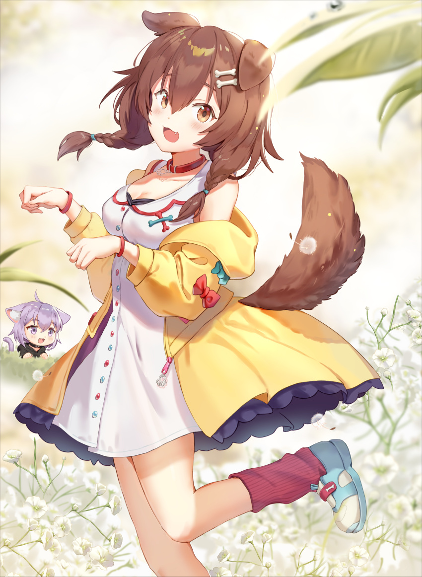 2girls :3 absurdres animal_ears bare_shoulders blue_footwear blurry bone_hair_ornament bow braid brown_eyes brown_hair collar commentary depth_of_field dog_ears dog_girl dog_tail dress fangs flower foot_out_of_frame green_bow hair_between_eyes hair_ornament hairclip highres hololive inugami_korone inugami_korone_(1st_costume) jacket long_hair looking_at_viewer low_twin_braids multiple_girls nekomata_okayu nekomata_okayu_(1st_costume) off_shoulder red_bow red_collar red_socks same_(samefgo) shoes short_dress smile socks solo_focus standing standing_on_one_leg tail twin_braids twintails virtual_youtuber white_dress white_flower yellow_jacket