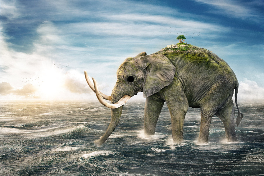 animal clouds cloudy_sky day elephant empty_eyes from_side full_body highres island male_focus ocean on_water one_piece outdoors realistic sky solo standing sunset thanawat_thepphongsri tree tusks walking water zunesha