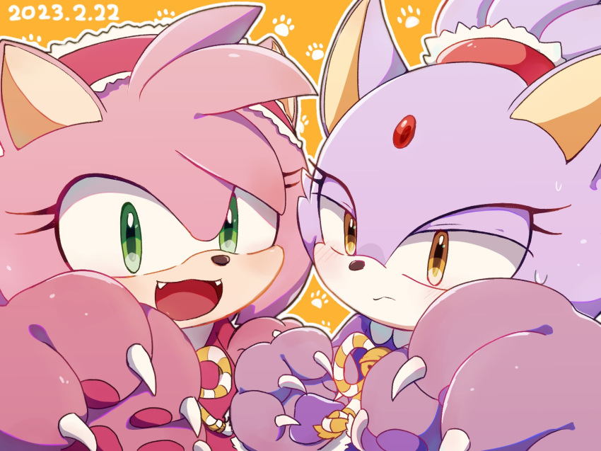 2girls amy_rose animal_ears blaze_the_cat blush cat_day cat_ears cat_paw claws eyelashes fangs forehead_jewel furry furry_female green_eyes hairband hedgehog_ears highres machimo129 multiple_girls open_mouth paw_pose paw_print pink_fur purple_fur sonic_(series) sweatdrop yellow_eyes